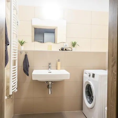 Sancova Street 아파트 *